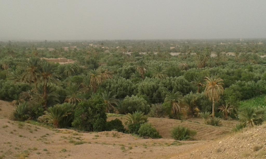 Espace Kasbah Amridil Skoura Buitenkant foto